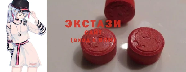 ECSTASY Бородино